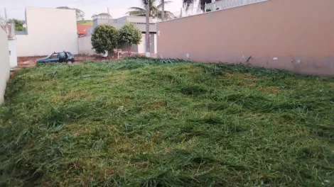 imagem 2 - Terreno à venda, 200m² - Jardim Santa Cecília - Bonfim Paulista. imagem 2 - Terreno à venda, 200m² - Jardim Santa Cecília - Bonfim Paulista.