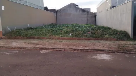imagem 4 - Terreno à venda, 200m² - Jardim Santa Cecília - Bonfim Paulista. imagem 4 - Terreno à venda, 200m² - Jardim Santa Cecília - Bonfim Paulista.