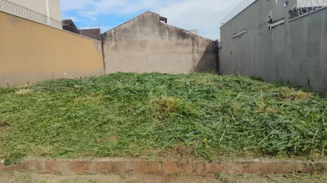 imagem 1 - Terreno à venda, 200m² - Jardim Santa Cecília - Bonfim Paulista. imagem 1 - Terreno à venda, 200m² - Jardim Santa Cecília - Bonfim Paulista.