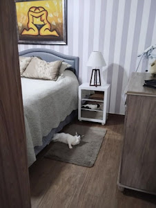 imagem 4 - Casa com 3 dormitórios à venda, 264 m² por R$ 750.000 - Parque Residencial Cândido Portinari - Ribeirão Preto/SP imagem 4 - Casa com 3 dormitórios à venda, 264 m² por R$ 750.000 - Parque Residencial Cândido Portinari - Ribeirão Preto/SP