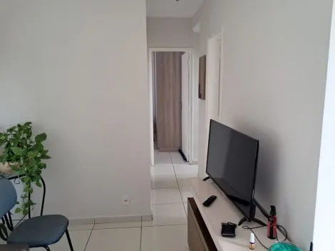 imagem 2 - Apartamento à venda com 3 quartos, 67m² - Residencial Nova Ribeiranea - Iguatemi. imagem 2 - Apartamento à venda com 3 quartos, 67m² - Residencial Nova Ribeiranea - Iguatemi.