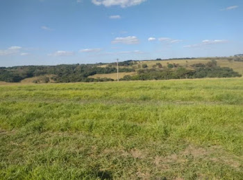 imagem 4 - Sítio com 5 dormitórios à venda, 387200 m² por R$ 4.800.000,00 - Zona Rural - Santo Antônio da Alegria/SP imagem 4 - Sítio com 5 dormitórios à venda, 387200 m² por R$ 4.800.000,00 - Zona Rural - Santo Antônio da Alegria/SP
