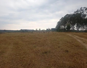 imagem 2 - Sítio com 2 dormitórios à venda, 629200 m² por R$ 4.000.000 - Zona Rural - Santo Antônio da Alegria/SP imagem 2 - Sítio com 2 dormitórios à venda, 629200 m² por R$ 4.000.000 - Zona Rural - Santo Antônio da Alegria/SP