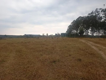 imagem 4 - Sítio com 2 dormitórios à venda, 629200 m² por R$ 4.000.000 - Zona Rural - Santo Antônio da Alegria/SP imagem 4 - Sítio com 2 dormitórios à venda, 629200 m² por R$ 4.000.000 - Zona Rural - Santo Antônio da Alegria/SP
