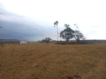 imagem 1 - Sítio com 2 dormitórios à venda, 629200 m² por R$ 4.000.000 - Zona Rural - Santo Antônio da Alegria/SP imagem 1 - Sítio com 2 dormitórios à venda, 629200 m² por R$ 4.000.000 - Zona Rural - Santo Antônio da Alegria/SP