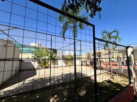 imagem 5 - Ponto para alugar com salão e banheiro, 55m² - Jardim Botânico. imagem 5 - Ponto para alugar com salão e banheiro, 55m² - Jardim Botânico.