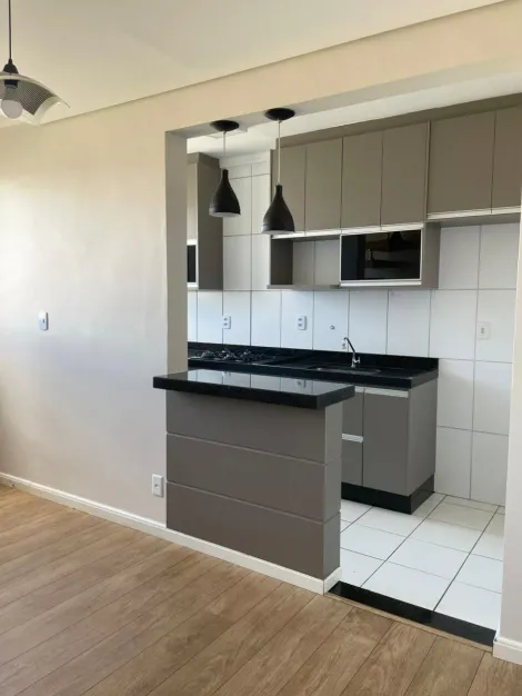 imagem 4 - Cobertura à venda ou para alugar com 2 quartos, 76m² - Residencial Spazio Robespierre - City Ribeirão. imagem 4 - Cobertura à venda ou para alugar com 2 quartos, 76m² - Residencial Spazio Robespierre - City Ribeirão.