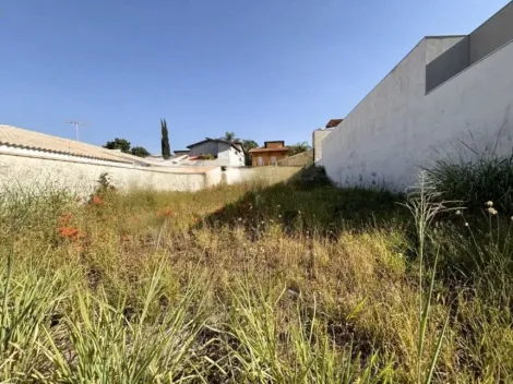 imagem 1 - Terreno à venda, 490m² - City Ribeirão. imagem 1 - Terreno à venda, 490m² - City Ribeirão.
