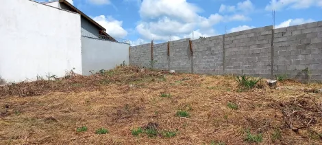 imagem 1 - Terreno à venda, 316m² - Parque das Oliveiras. imagem 1 - Terreno à venda, 316m² - Parque das Oliveiras.