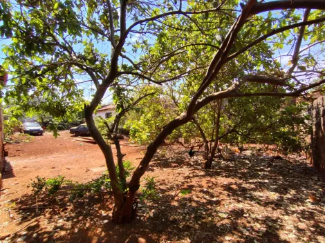 imagem 2 - Terreno à venda, 255m² - Terras de San Gabriel - Bonfim Paulista. imagem 2 - Terreno à venda, 255m² - Terras de San Gabriel - Bonfim Paulista.
