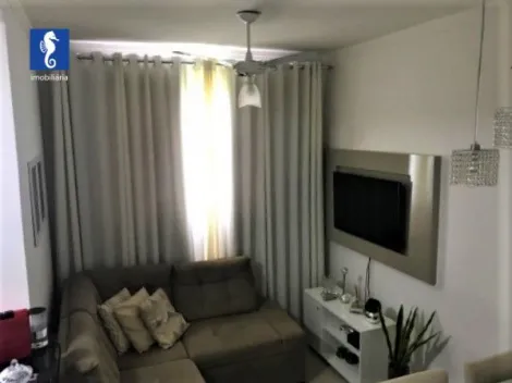 imagem 1 - Apartamento à venda com 2 quartos, 48m² - Parque Rebouças - City Ribeirão. imagem 1 - Apartamento à venda com 2 quartos, 48m² - Parque Rebouças - City Ribeirão.