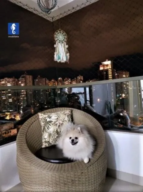 imagem 2 - Apartamento - Padrão imagem 2 - Apartamento - Padrão