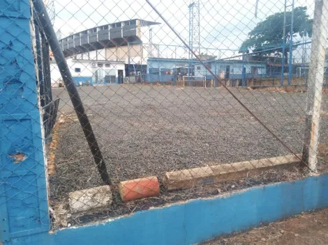 imagem 3 - Terreno para alugar, 500 m² - Jardim Palma Travassos imagem 3 - Terreno para alugar, 500 m² - Jardim Palma Travassos